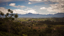 Load image into Gallery viewer, Fundacion Mundo Mujer - Finca Santa Barbara - Striped Red Bourbon - Washed