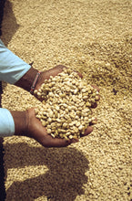 Load image into Gallery viewer, Several co-operatives - Smallholder farms - Ruiru, SL 28, Batian - Washed
